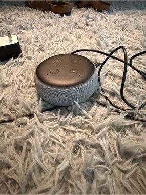 Amazon Alexa Grey